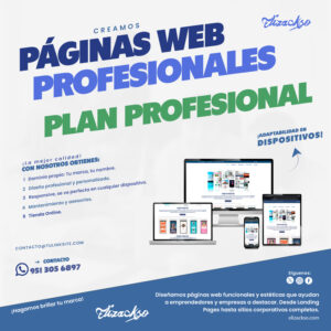 Página Web - PROFESIONAL